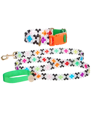 Seltzer Dog Collar and Leash