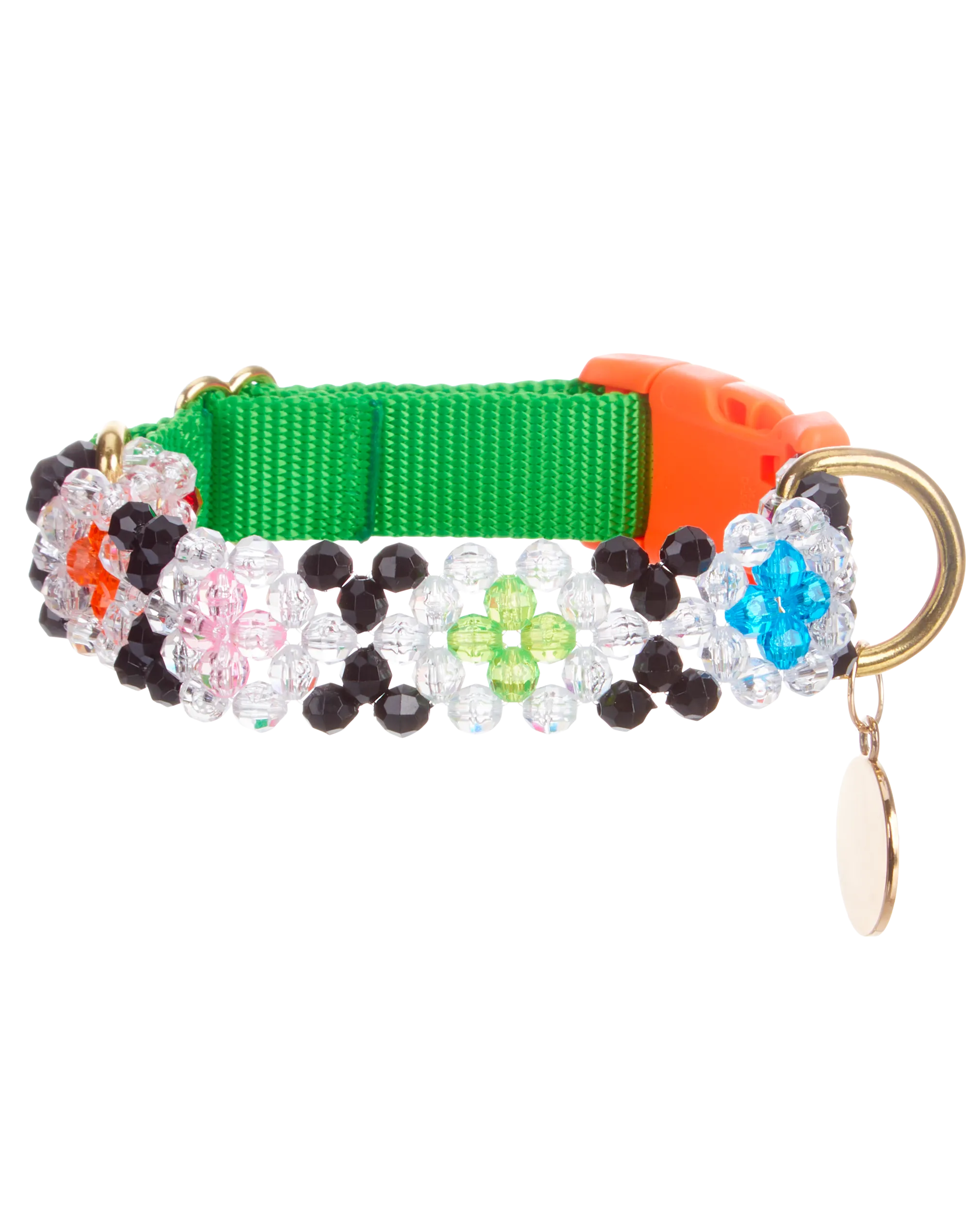 Seltzer Dog Collar and Leash