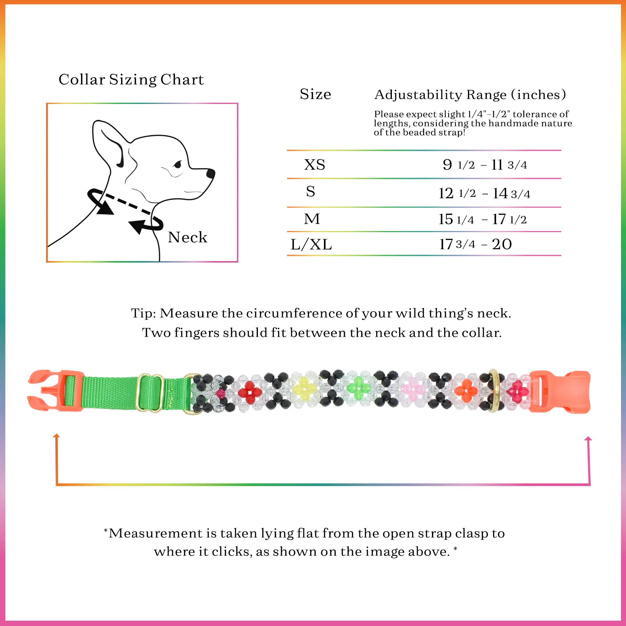 Seltzer Dog Collar and Leash