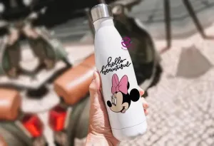 Thermal bottle & Flask -Disney