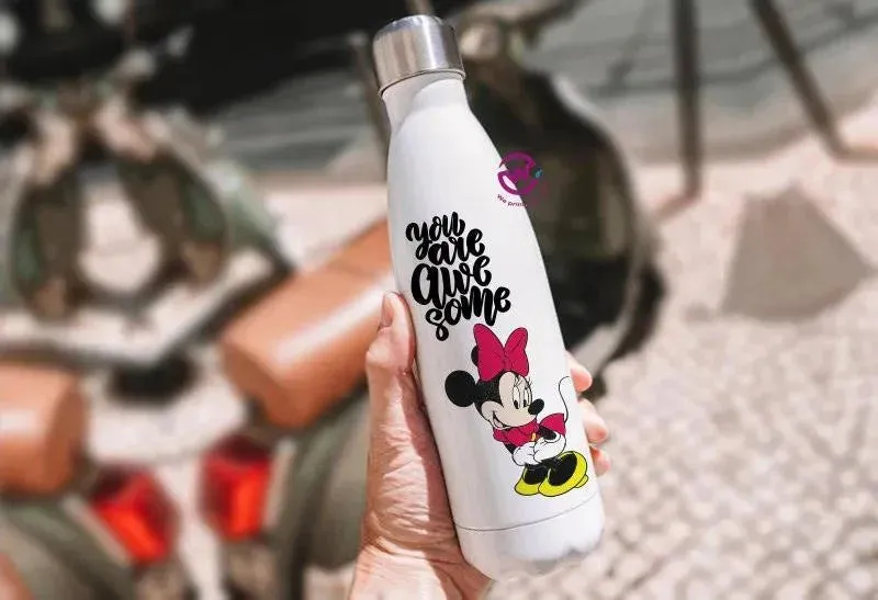 Thermal bottle & Flask -Disney