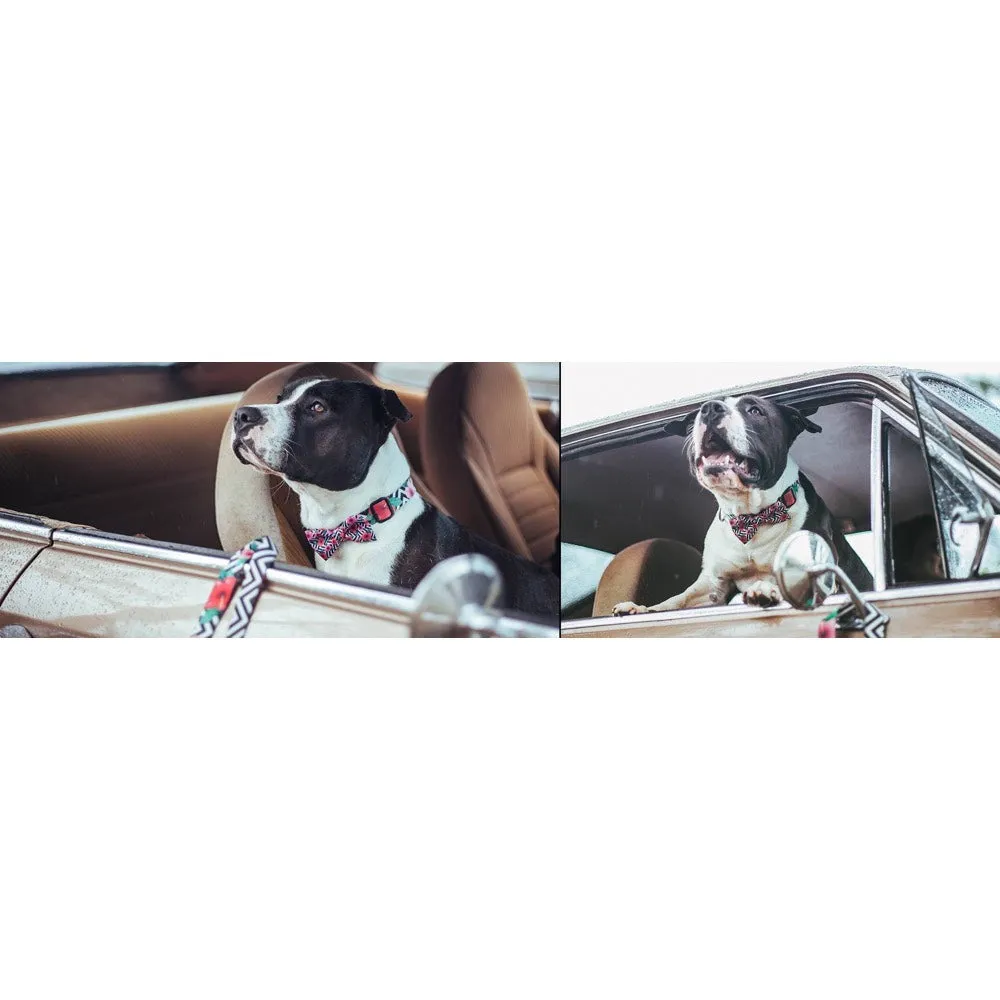 Zee.Dog Mahalo Bow Tie